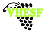 Vine harvest